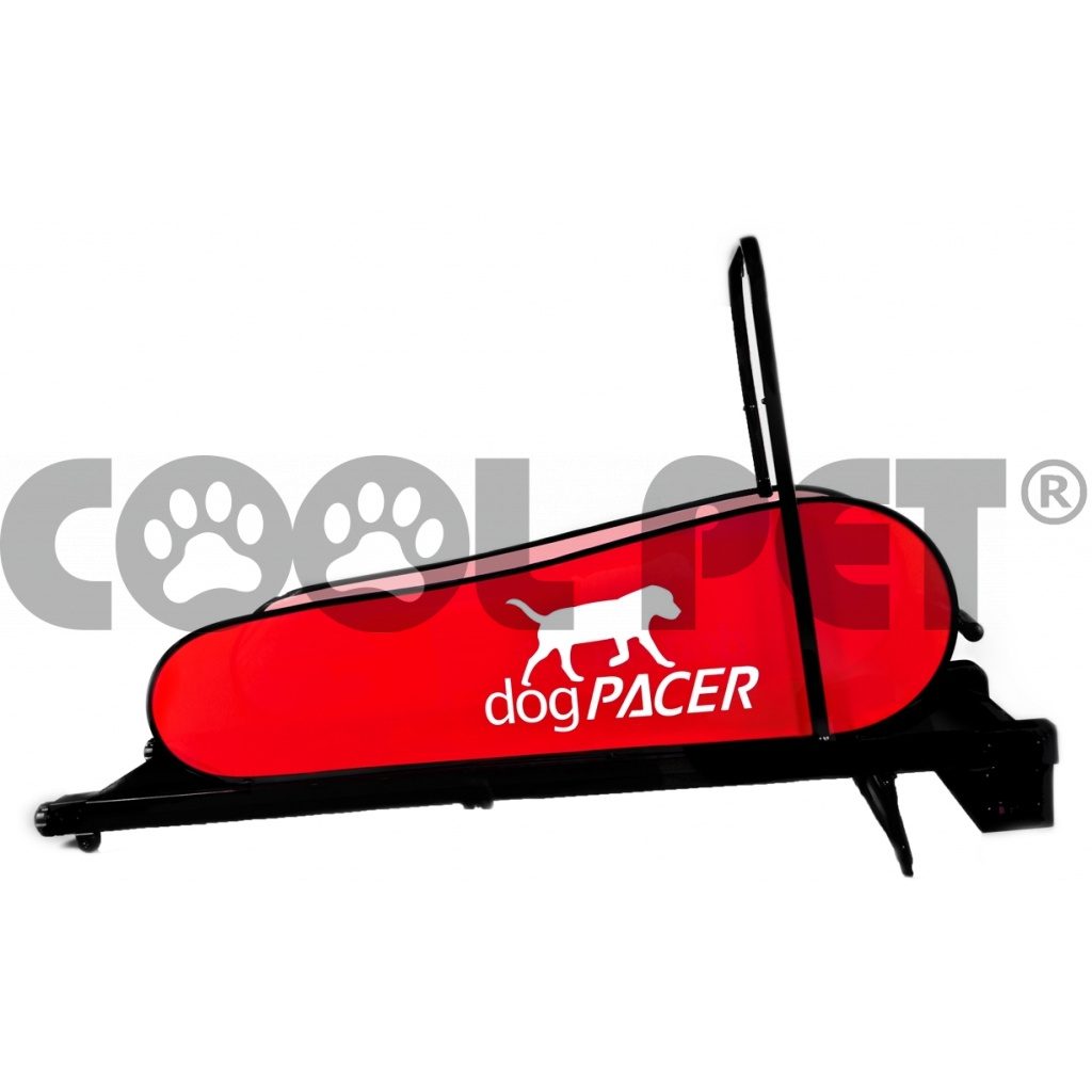 Laufband, treadmill , Laufbänder für große Hunde DOG PACER LF 3.1