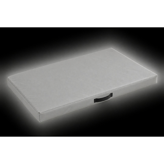 Matrace na míru – Eko kůže, Světle šedá 100×67×5 cm (CUST-2610-P9PFJ4) Matrace na míru – Eko kůže, Světle šedá 100×67×5 cm (CUST-2610-P9PFJ4)