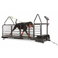 Laufband Dog Runner – Revolution Pro