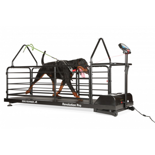 Laufband Dog Runner – Revolution Pro
