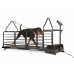 Laufband Dog Runner – Revolution Pro