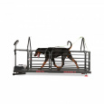 Laufband Dog Runner - Ortho Pro