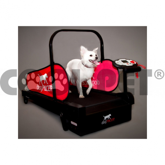Laufbänder für kleine Hunde MINIPACER, treadmill, Laufband